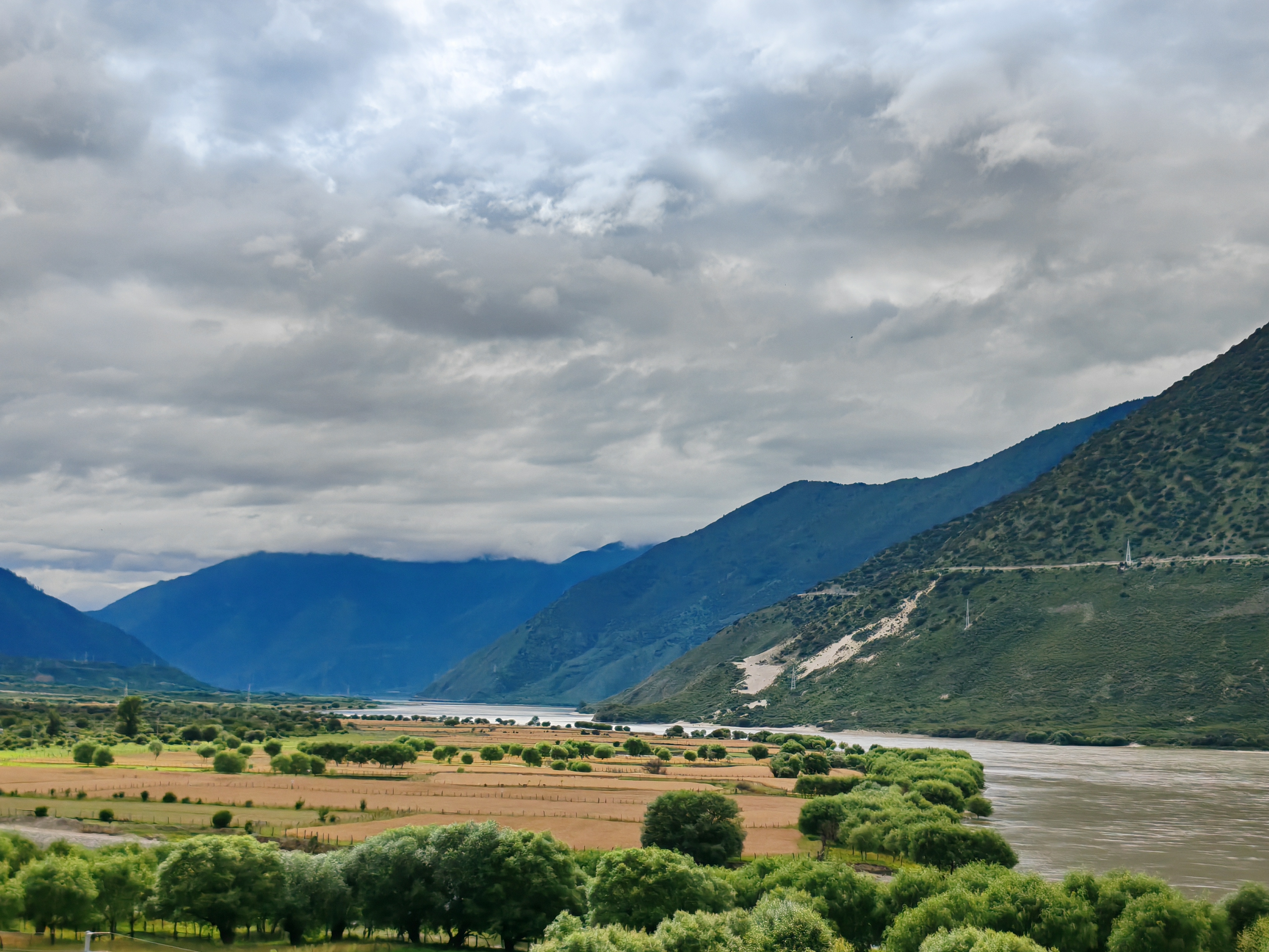 拉萨-林芝-山南植物见闻
